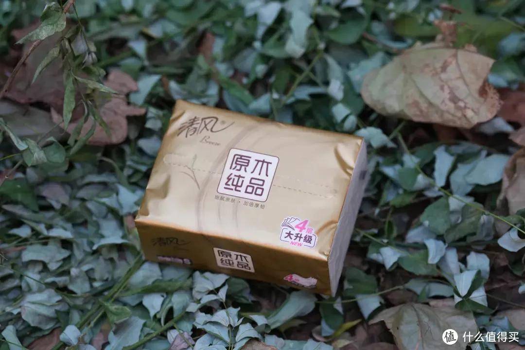 牌管理角度分享中国十大纸巾EVO视讯【品牌研究】从品(图3)